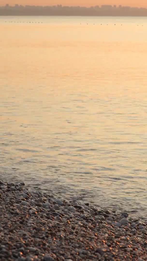 Primer plano de la costa en la playa Vídeo vertical — Vídeos de Stock