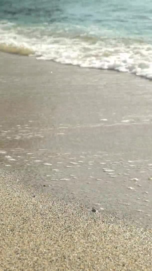 ビーチの海岸のクローズアップ垂直ビデオ — ストック動画