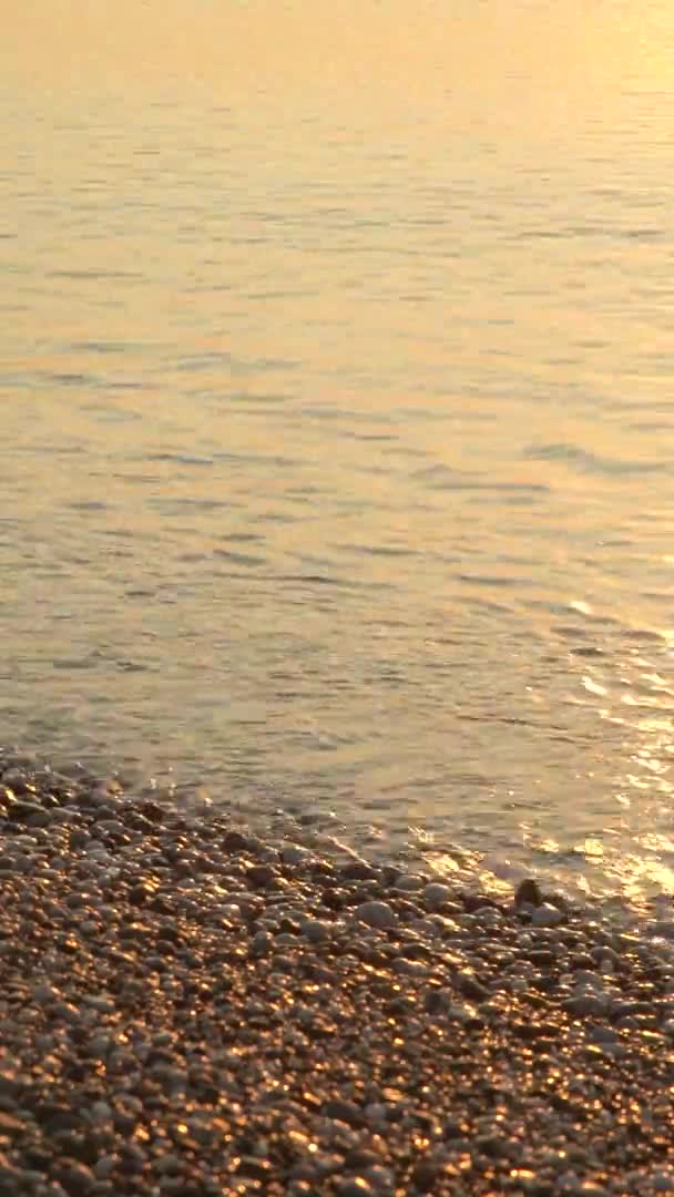 Primer plano de la costa en la playa Vídeo vertical — Vídeos de Stock