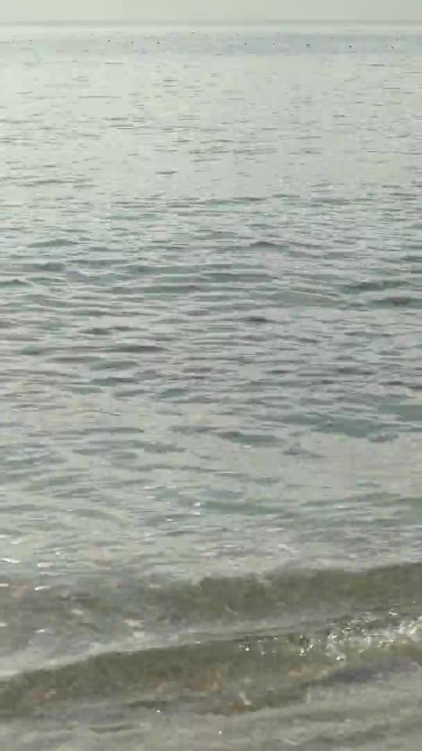 Pemandangan laut di pantai dekat pantai di Turki Video vertikal — Stok Video