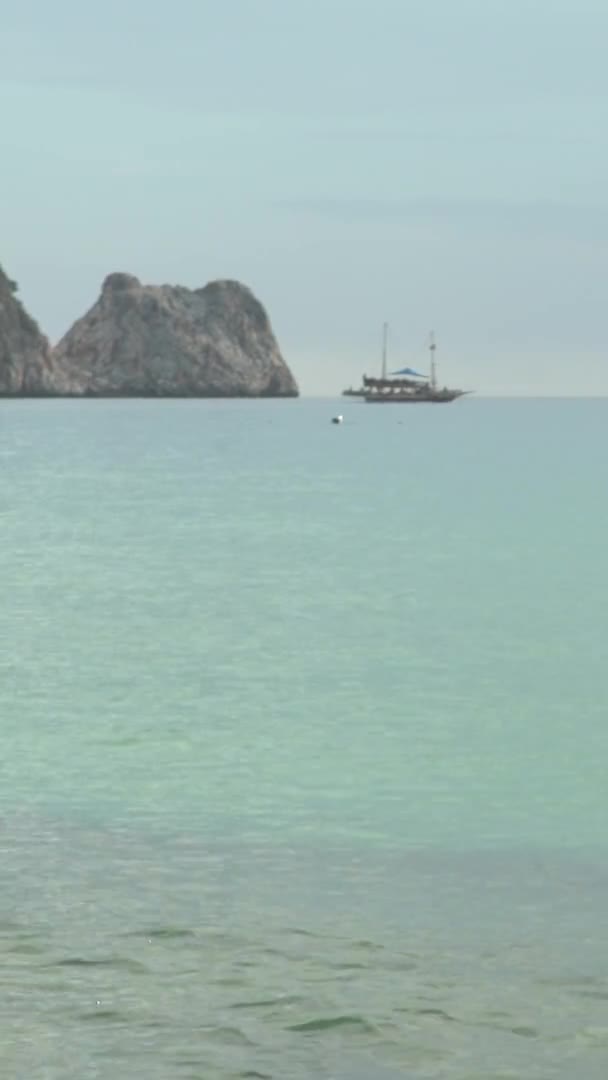 Mare sulla spiaggia vicino alla costa in Turchia Video verticale — Video Stock