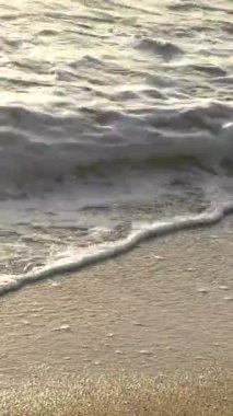 Sahildeki sahile yakın çekim. Dikey video.