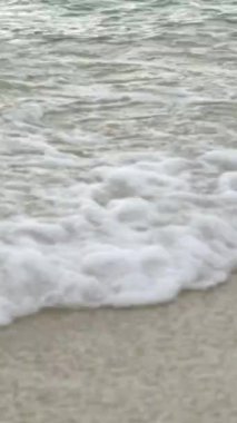 Sahildeki sahile yakın çekim. Dikey video.