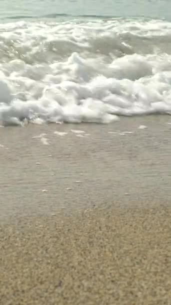 Primer plano de la costa en la playa Vídeo vertical — Vídeos de Stock