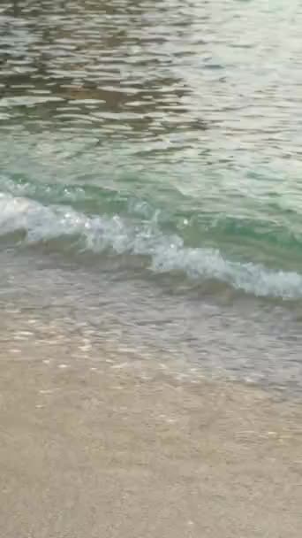 Zbliżenie brzegu morza na plaży Pionowe wideo — Wideo stockowe