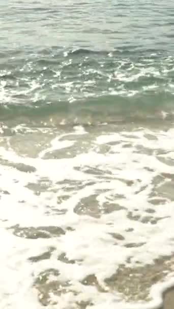 Close-up of the seashore on the beach Vertical video — Stock Video