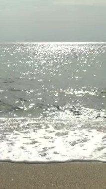 Sahildeki sahile yakın çekim. Dikey video.