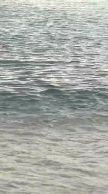 Sahildeki sahile yakın çekim. Dikey video.