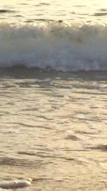 Sahildeki sahile yakın çekim. Dikey video.