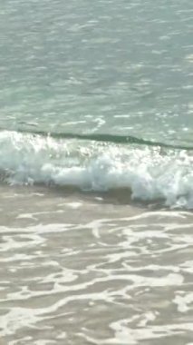 Sahildeki sahile yakın çekim. Dikey video.