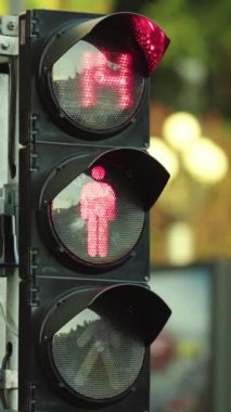 Gündüz trafik ışıkları Dikey video boyunca