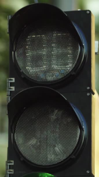 Светофор на дороге в течение дня Вертикальное видео — стоковое видео