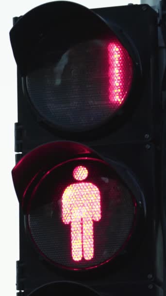 日间道路上的红绿灯垂直录影 — 图库视频影像