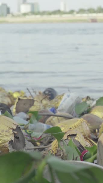 Basura de plástico en la orilla del mar Video vertical — Vídeo de stock