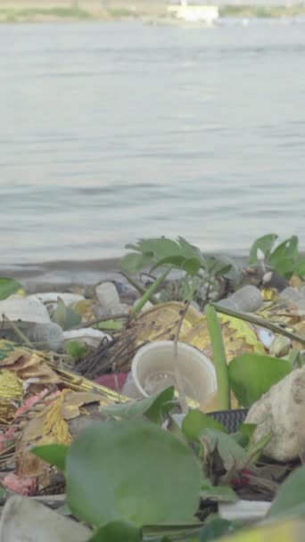 Πλαστικά σκουπίδια στην ακρογιαλιά Κάθετη βίντεο — Αρχείο Βίντεο