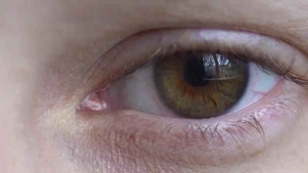 Primer plano del ojo femenino, macroinyección — Vídeos de Stock