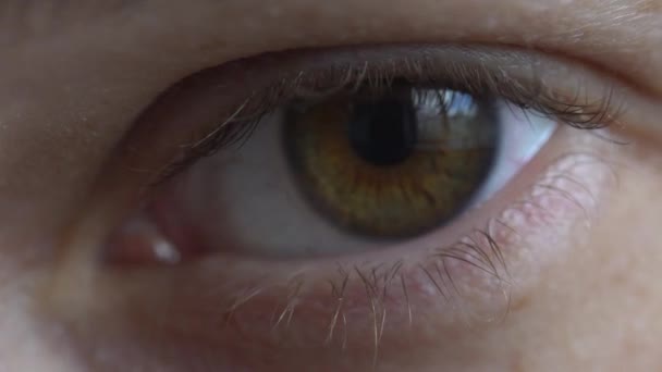 Крупный план женского глаза, макроснимок — стоковое видео