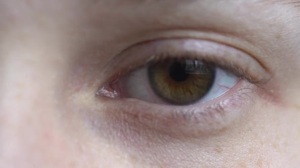 Close-up of female eye, macro shot — Stock Video
