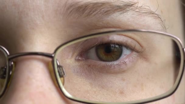 Θηλυκό μάτι με κοντά γυαλιά — Αρχείο Βίντεο