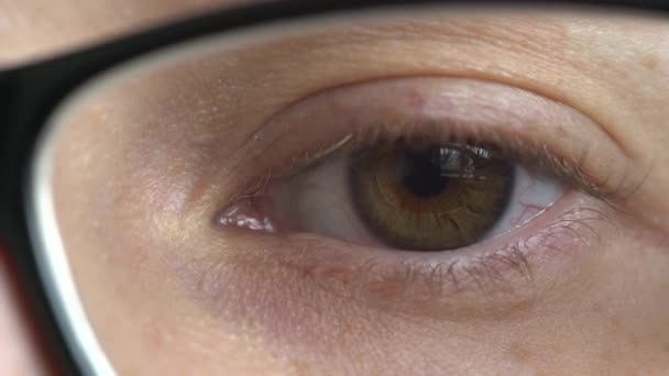 Weibliches Auge mit Brille in Großaufnahme — Stockvideo