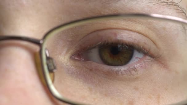 Θηλυκό μάτι με κοντά γυαλιά — Αρχείο Βίντεο