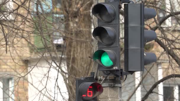 Verkeerslichten op de weg regelen het verkeer — Stockvideo