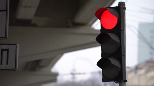 Semáforo en la carretera regula el tráfico — Vídeos de Stock