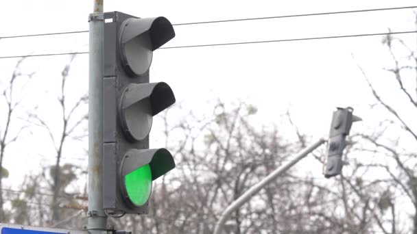 Ampel auf der Straße regelt den Verkehr — Stockvideo