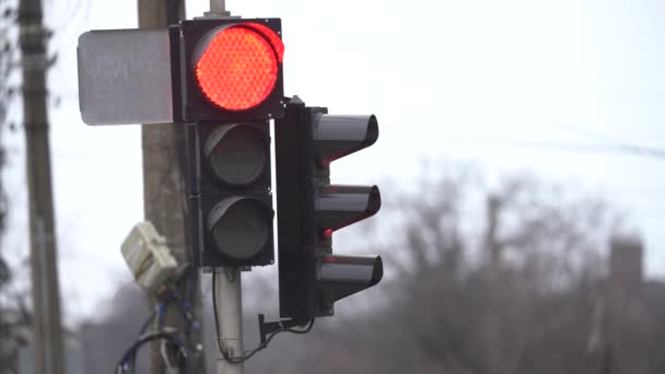 Traffic light on the road regulates traffic — Stock Video