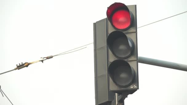 Traffic light on the road regulates traffic — Stock Video