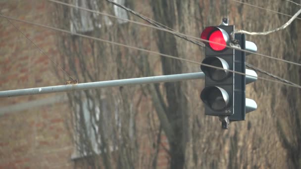 Trafikljus på vägen reglerar trafiken — Stockvideo