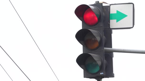 Traffic light on the road regulates traffic — Stock Video