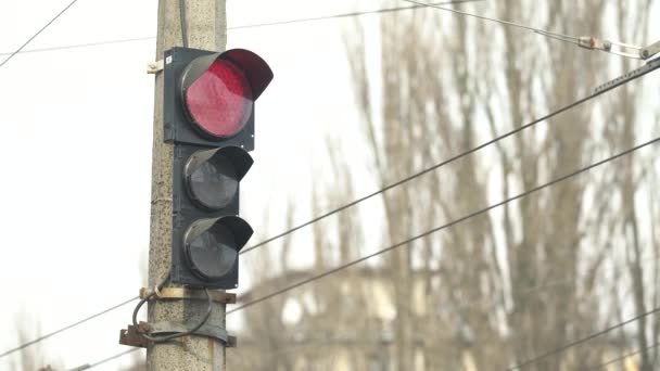 Traffic light on the road regulates traffic — Stock Video