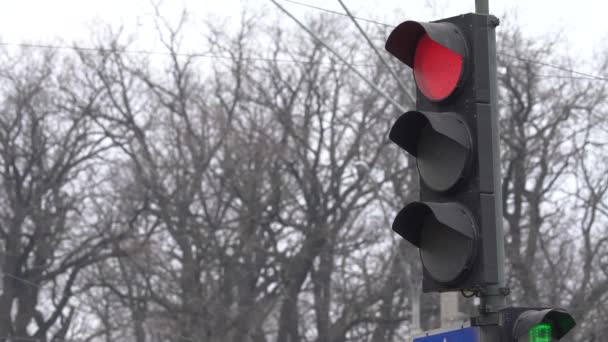 Semáforo en la carretera regula el tráfico — Vídeos de Stock