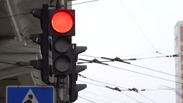 Semáforo en la carretera regula el tráfico — Vídeos de Stock