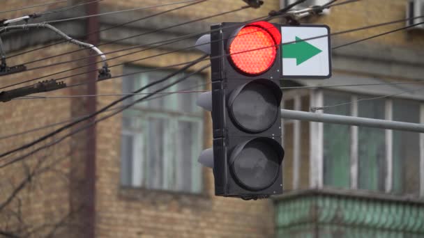 Semáforo en la carretera regula el tráfico — Vídeos de Stock