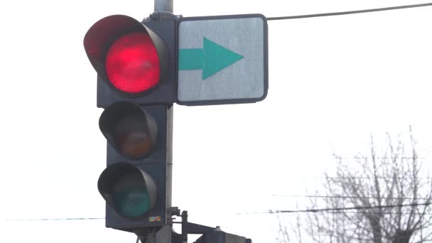 Ampel auf der Straße regelt den Verkehr — Stockvideo