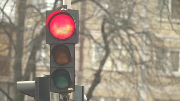 Semaforo sulla strada regola il traffico — Video Stock