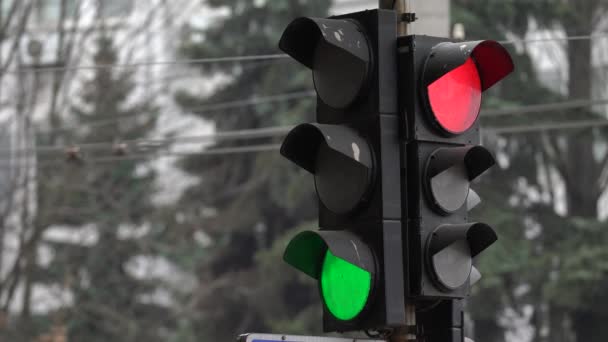 Ampel auf der Straße regelt den Verkehr — Stockvideo