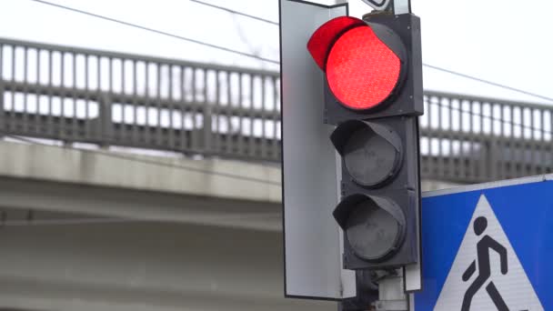 Semáforo en la carretera regula el tráfico — Vídeo de stock