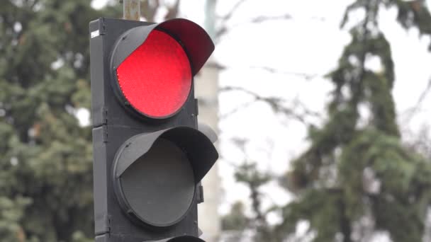 Feu de circulation sur la route réglemente la circulation — Video