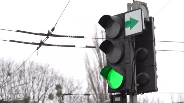 Ampel auf der Straße regelt den Verkehr — Stockvideo