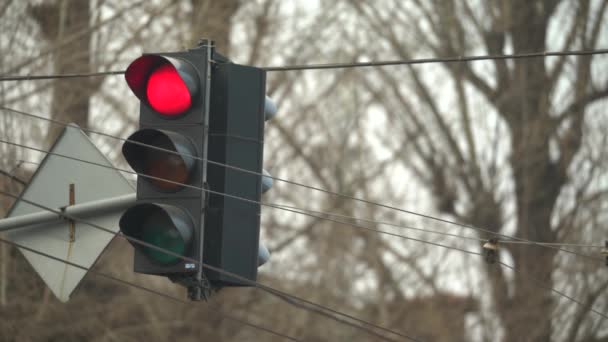 O semáforo na estrada regula o tráfego — Vídeo de Stock
