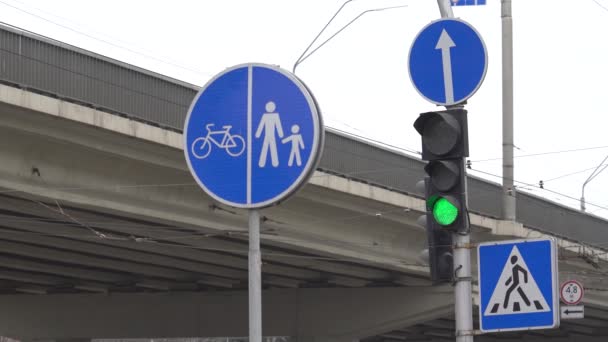 Ampel auf der Straße regelt den Verkehr — Stockvideo