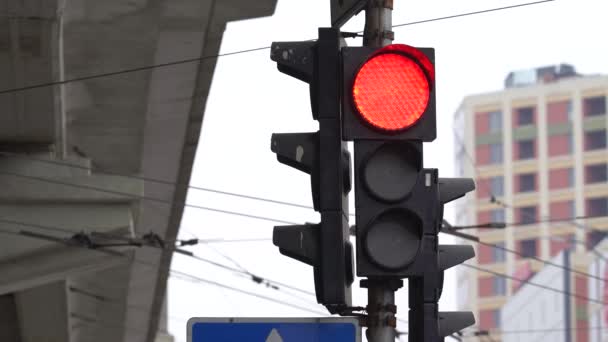 Verkeerslichten op de weg regelen het verkeer — Stockvideo