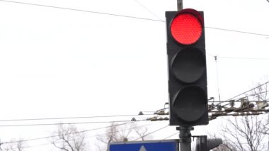 Yoldaki trafik ışığı trafiği düzenler