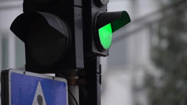 Ampel auf der Straße regelt den Verkehr — Stockvideo