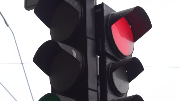 Semáforo en la carretera regula el tráfico — Vídeo de stock