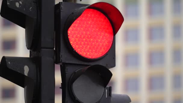 Semáforo en la carretera regula el tráfico — Vídeos de Stock