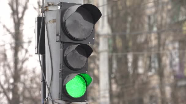 Feu de circulation sur la route réglemente la circulation — Video